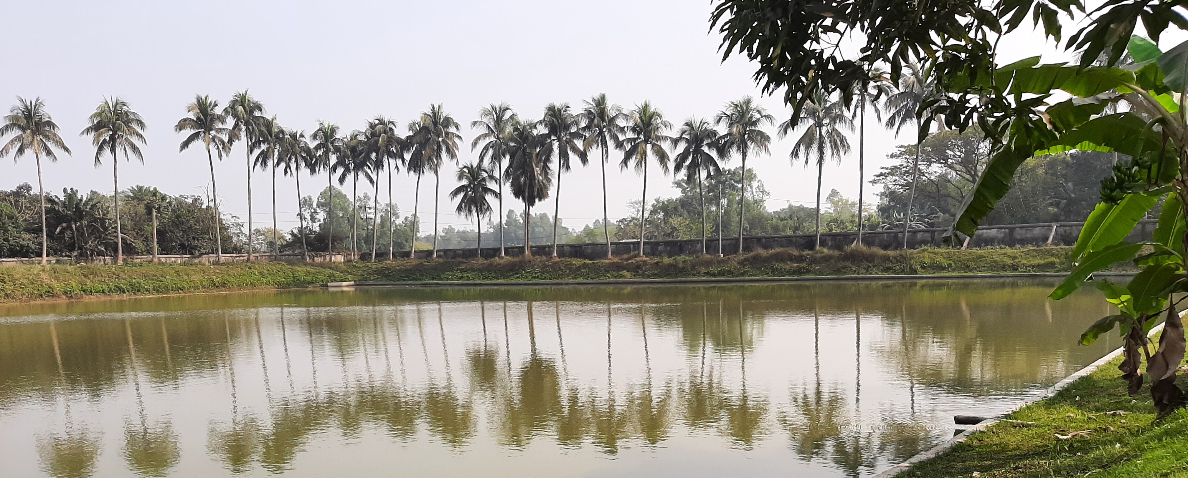 খামার