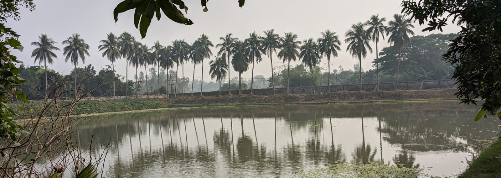 মৎস্য খামারের বিভিন্ন চিত্রসমূহ
