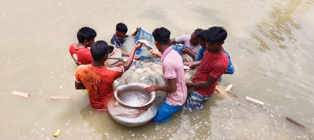 মৎস্য সংগ্রহ ব্যানার