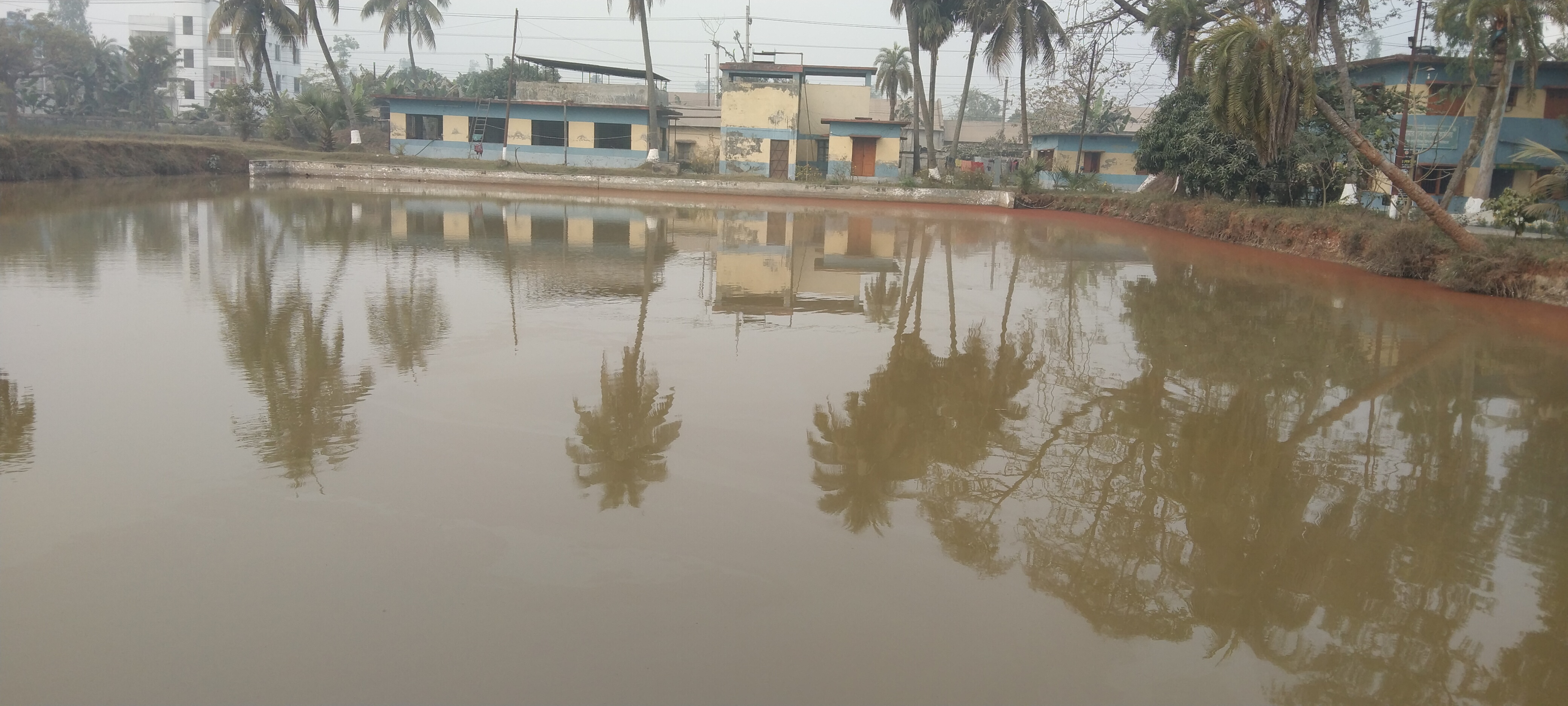 খামারের ছবি