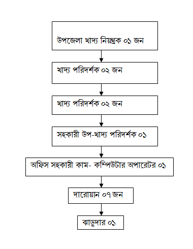 সাংগঠনিক কাঠামো