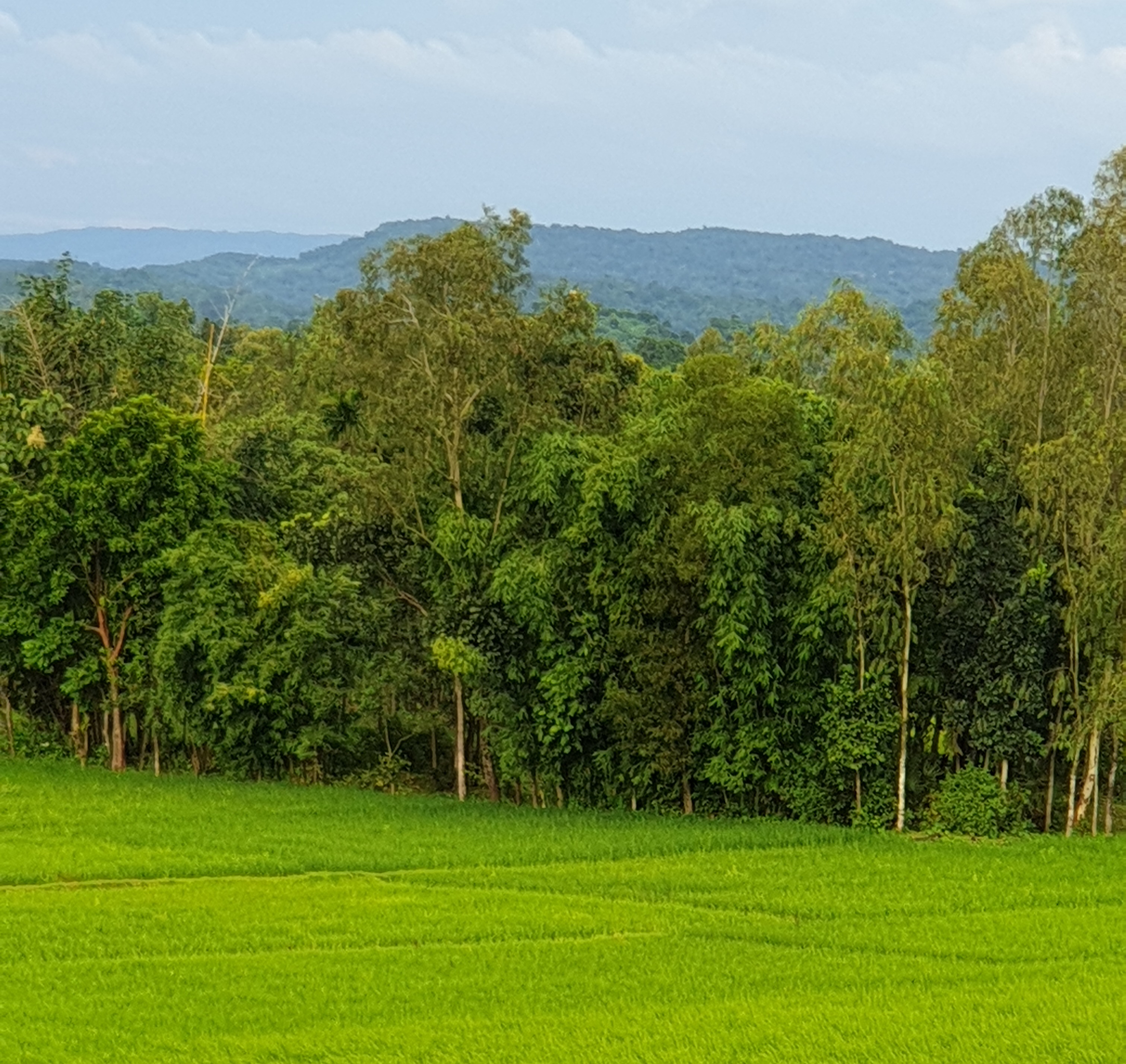 চিত্র - ২