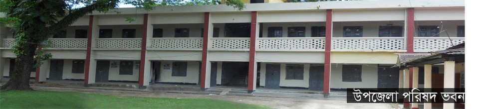 উপজেলা পরিষদ