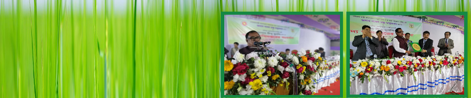 খাদ্য মন্ত্রী