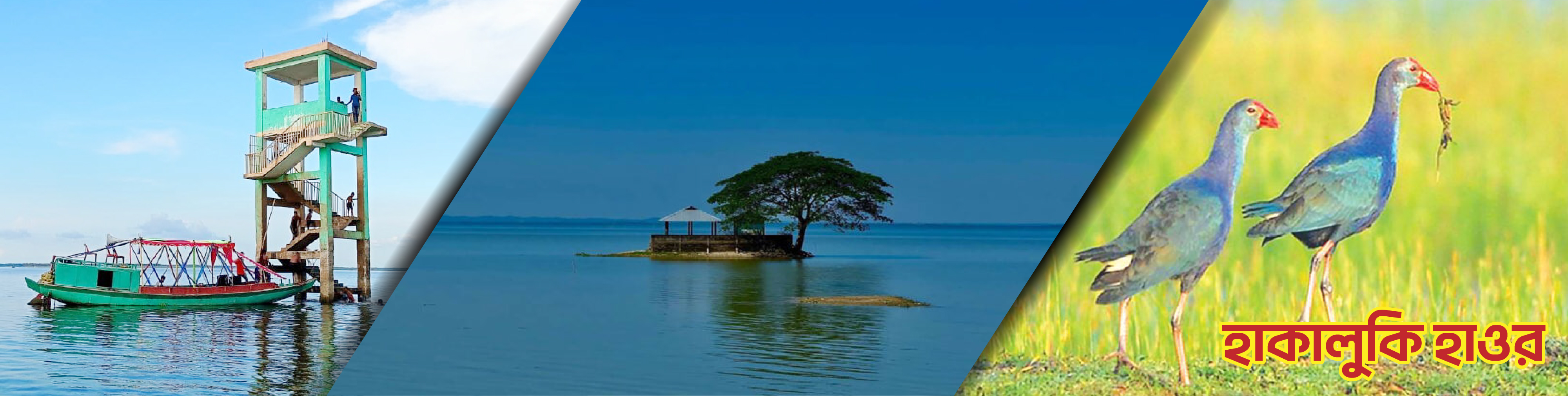 উপজেলা খাদ্য নিয়ন্ত্রকের কার্যালয় কুলাউড়া, মৌলভীবাজার