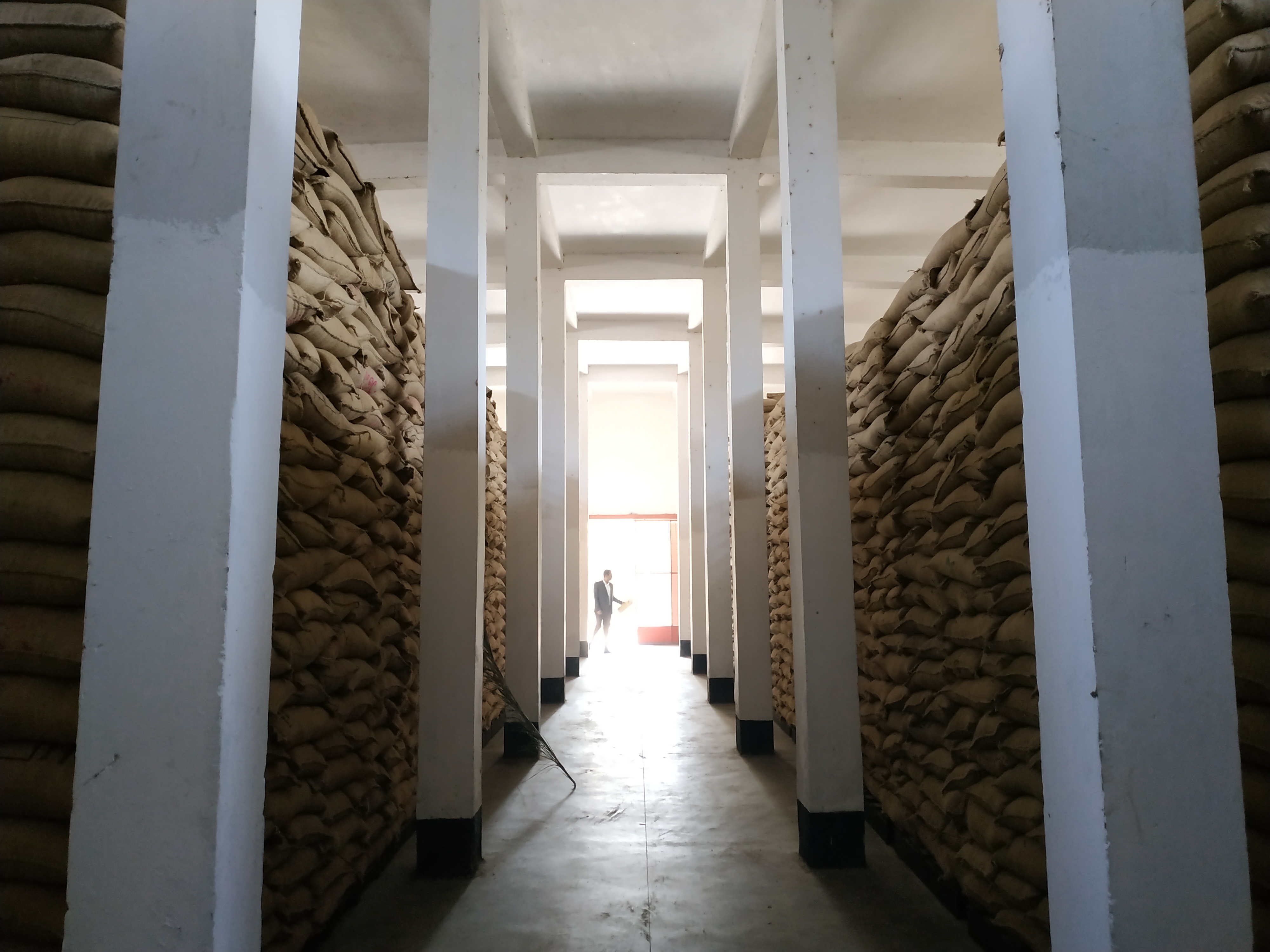 চালের খামাল