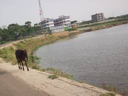 উপজেলার রাস্তা।