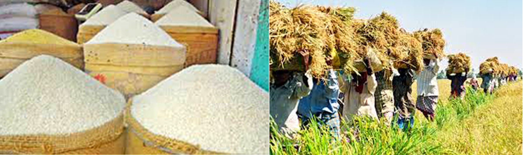 চিত্র- ২