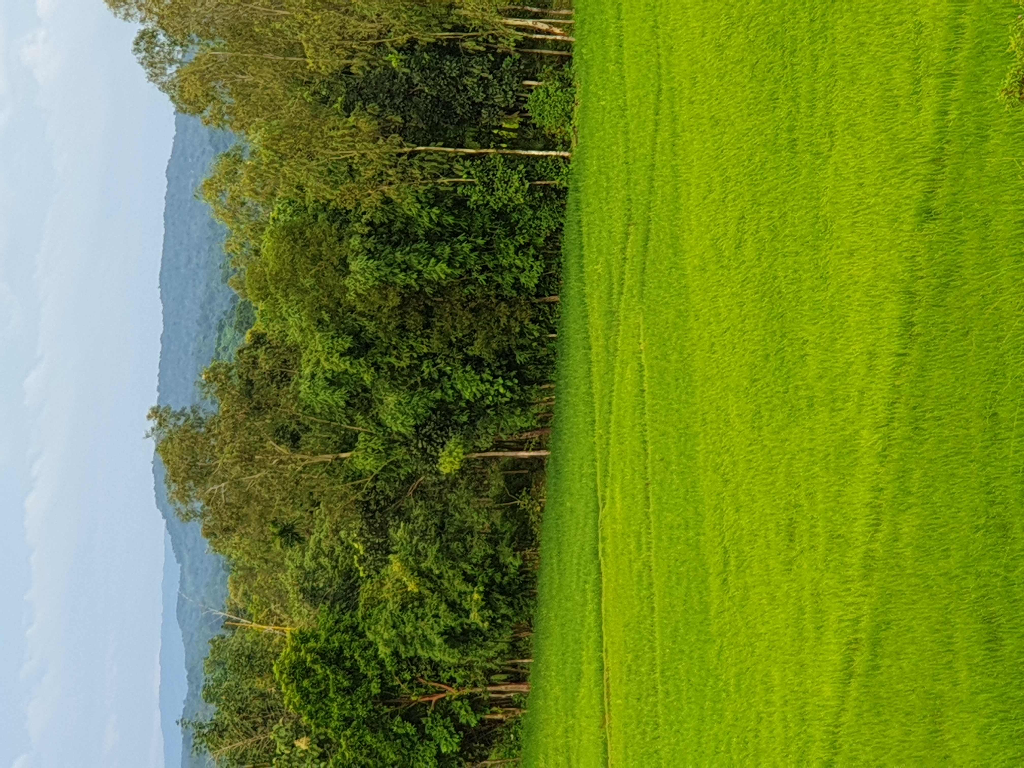 নোটিশ প্রশিক্ষণ