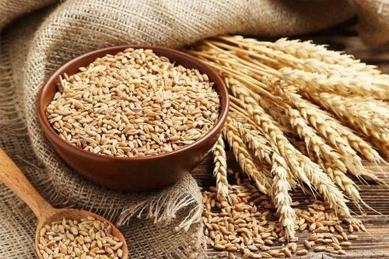 খাদ্য শস্য ২