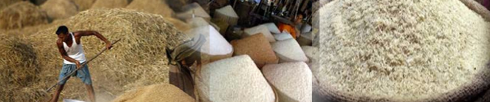 ধান ও চাল সংগ্রহ