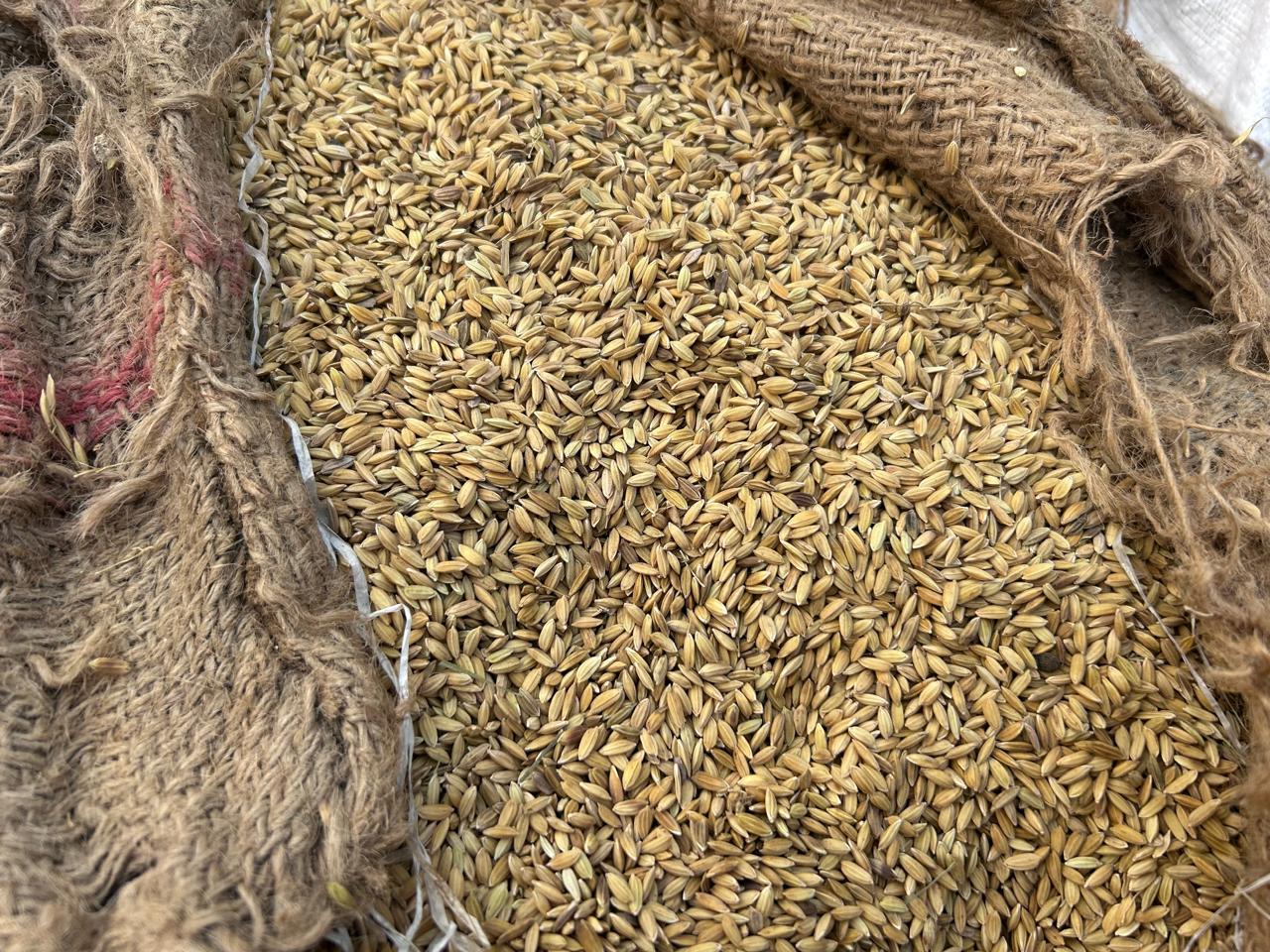 জেলা খাদ্য নিয়ন্ত্রকের কার্যালয়, পঞ্চগড়