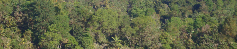 ব্যানার