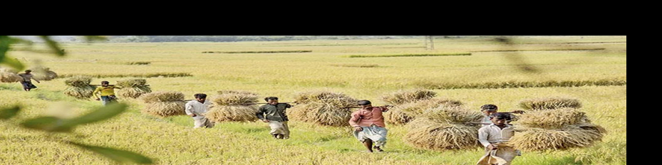 উপজেলা খাদ্য নিয়ন্ত্রকের কার্যালয়, রাজনগর, মৌলভীবাজার