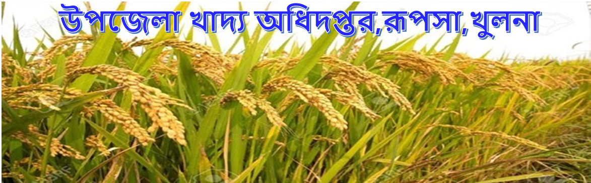 খাদ্য অধিদপ্তর