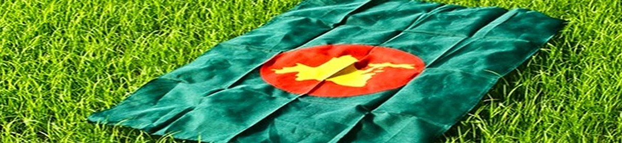 স্বাধীনতা দিবস ও পতকা