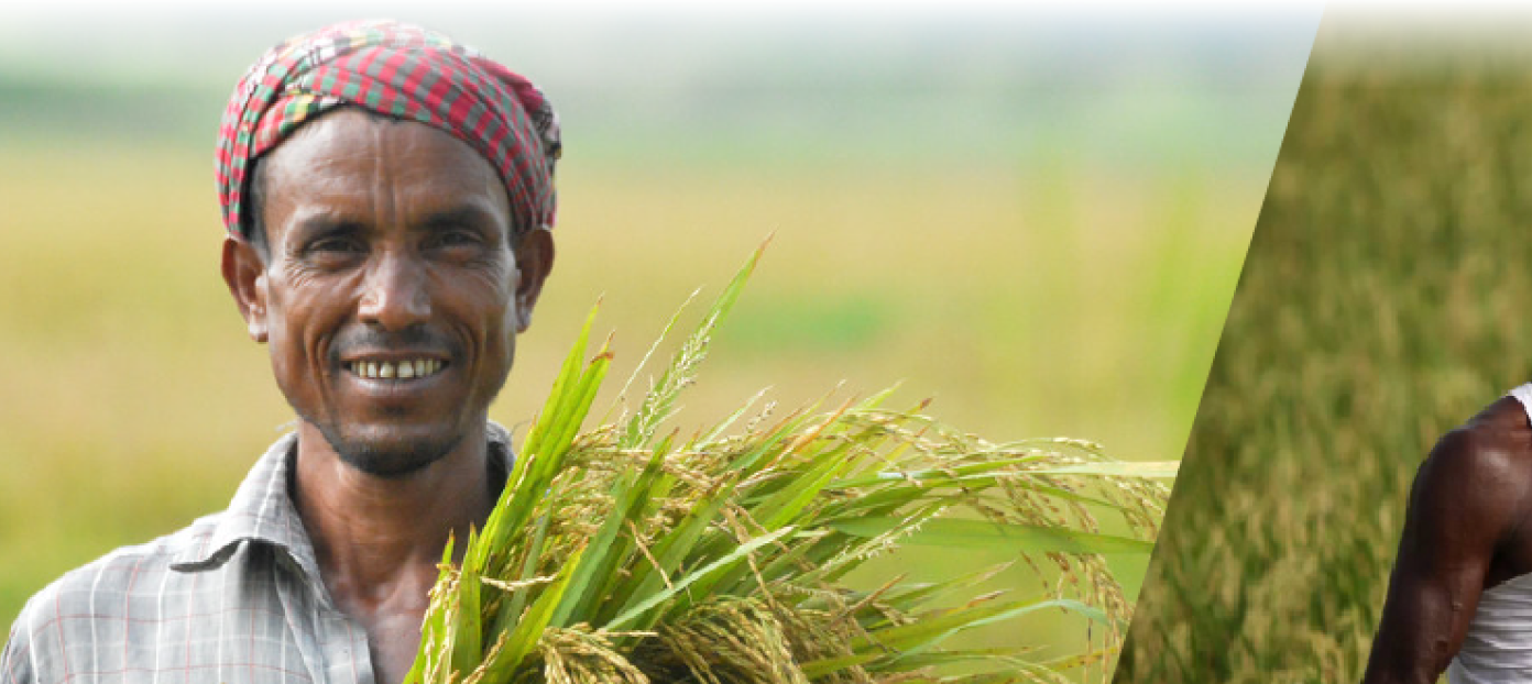 অম্বিকাপুর সরকারি খাদ্য গুদামে সরাসরি কৃষকদের নিকট হতে অ্যাপস এর পাশাপাশি কৃষি অফিস হতে প্রাপ্ত কৃষক তালিকায় বর্ণিত কৃষকের নিকট হতে ১৩৬০ টাকা মন দরে ধান সংগ্রহ করা হচ্ছে। সংগ্রহ কার্যক্রম আগামী ২৮/০২/২০২৬ খ্রি. তারিখ পর্যন্ত চলবে।