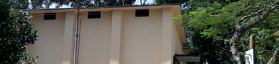 এলএসডি ছবি