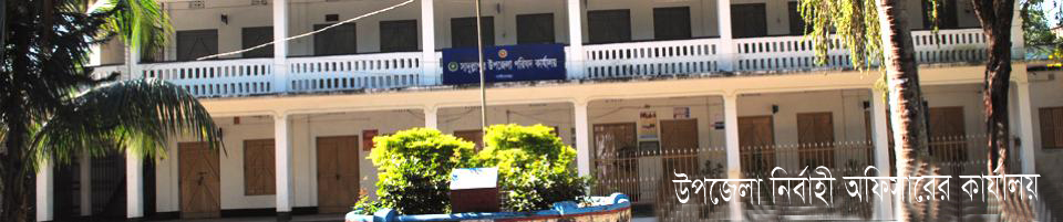 ব্যানার