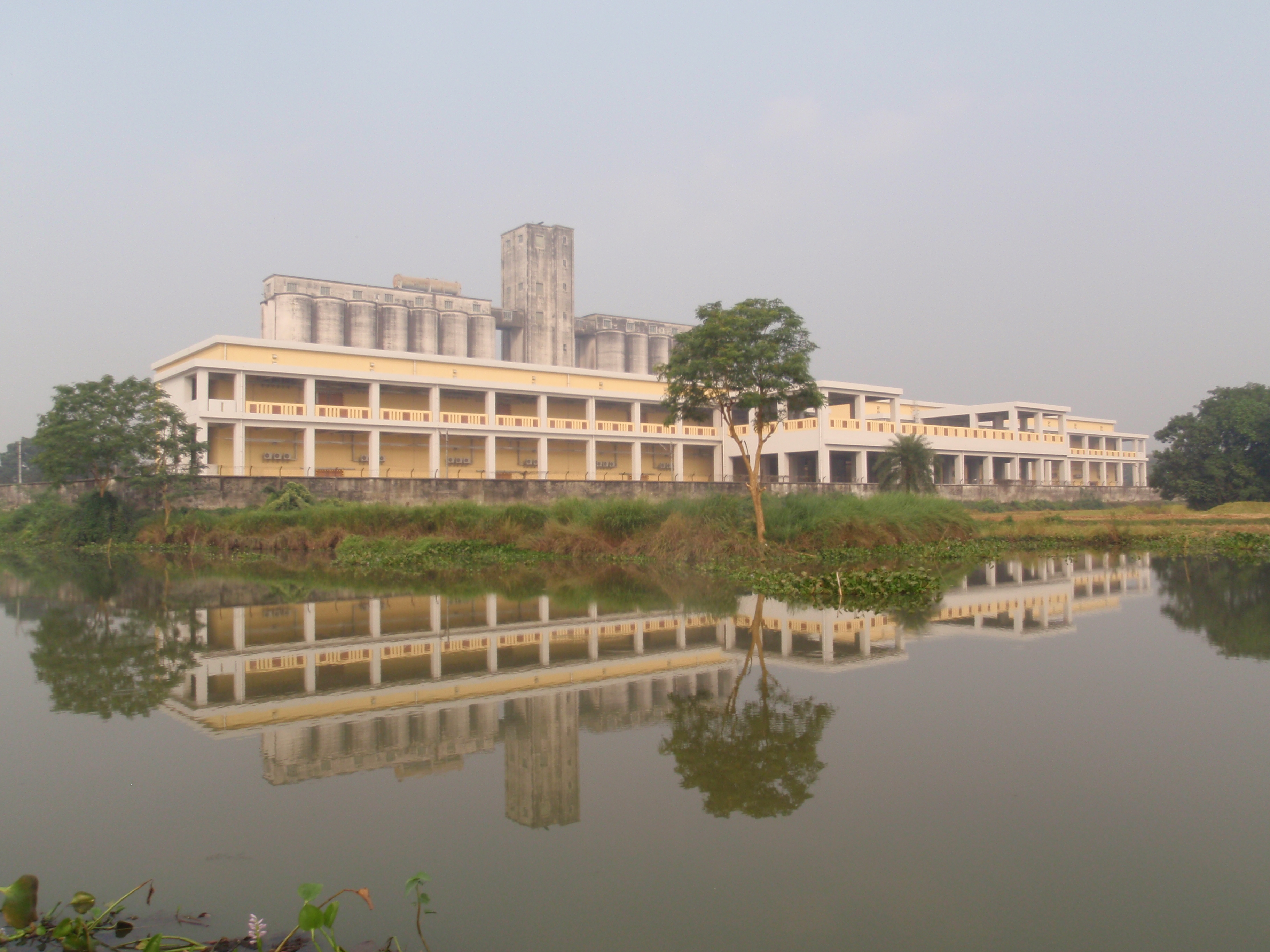 গ্যালারি