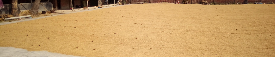 মিল পরিদরশন