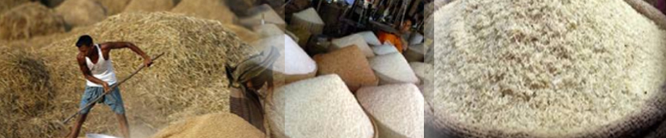 ফটো গ্যালারি