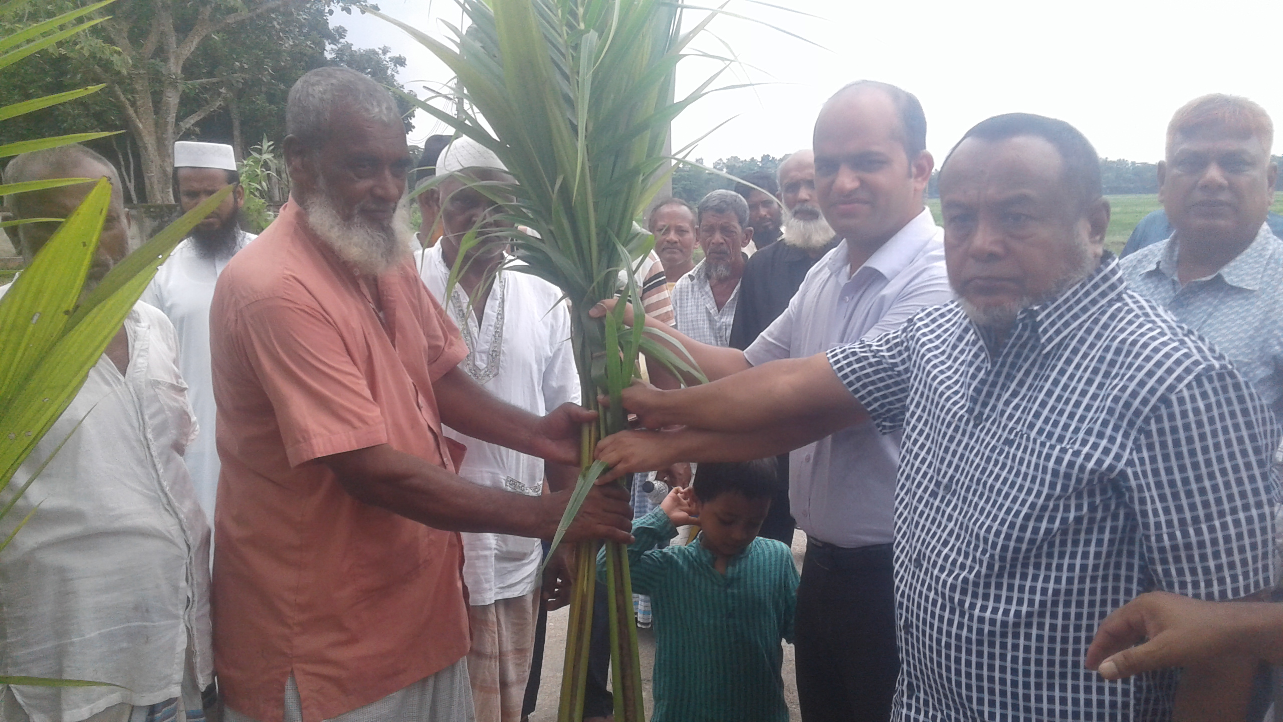 বৃক্ষরোপন