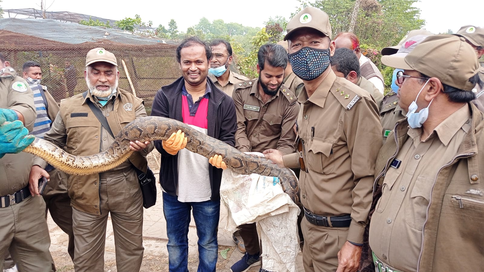 অজগর