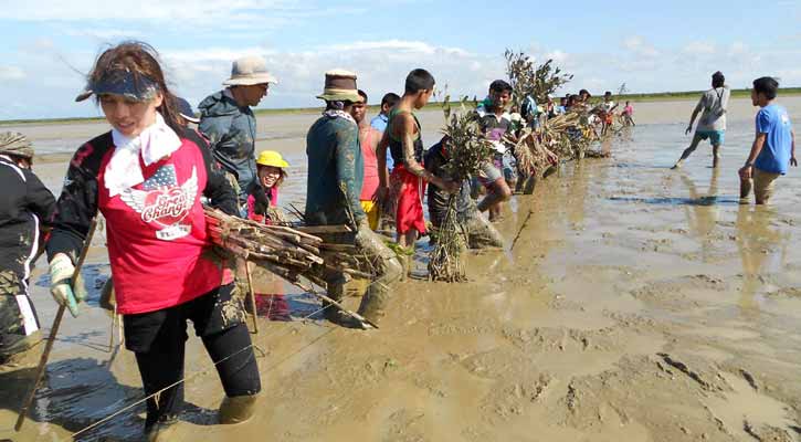 চকরিয়া সুন্দরবন গাছ রোপন