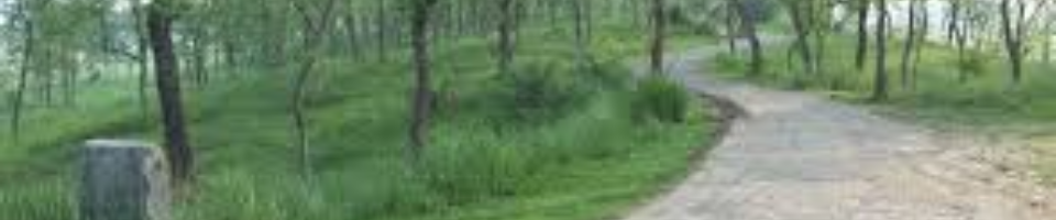 বাবু ডাইং