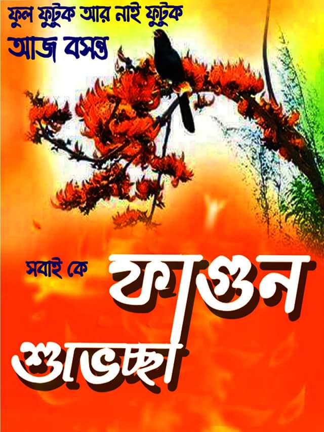 ফটো গ্যালারি 