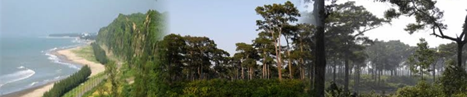 ব্যানার