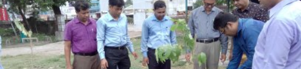 বৃক্ষ রোপনে