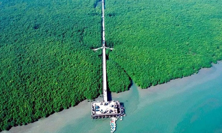 মহেশখালী উপজেলার আদিনাথ ঘাট সংলগ্ন প্যারাবন