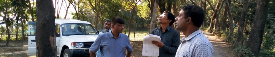 বৃক্ষ পরিমাপ