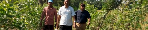 বনায়ন কার্যক্রম।