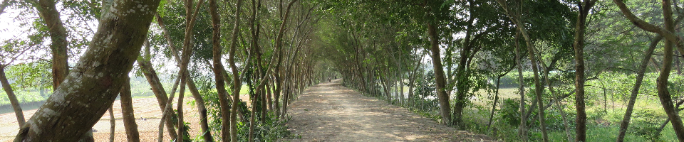 সামাজিক বন বাগান