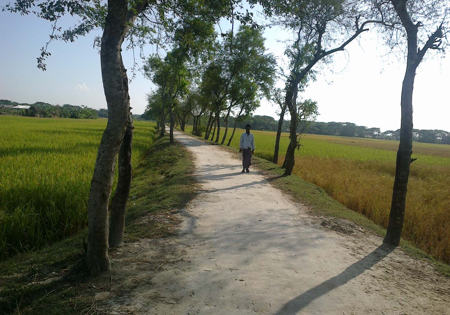 ফটো গ্যালারী