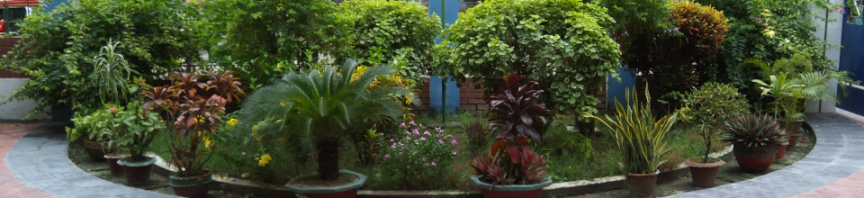 বন ভবন চত্তর