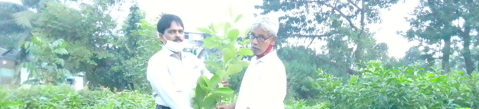 মাননীয় জাতীয় সংসদ সদস্য মনোনীত ব্যক্তি কে ব্যক্তির কাছে চারা বিতরণ