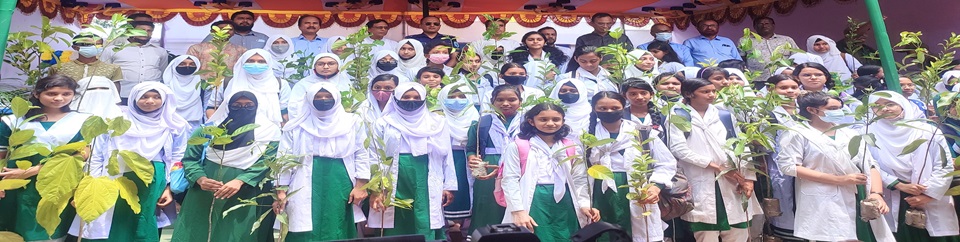 চারা বিতিরণ