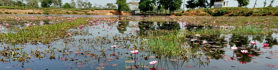 শাপলা পুকুর, শাহজীবাজার বিট