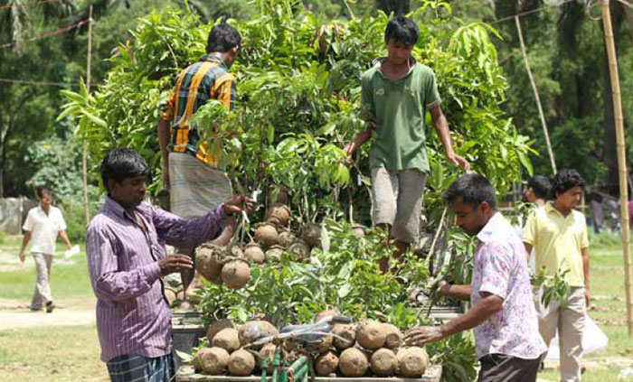 বন বিভাগ ফটো গ্যালারী