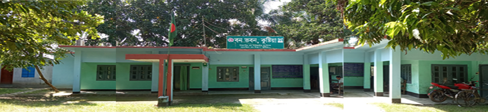 ব্যানার