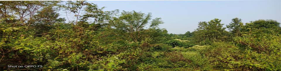 ব্যানার-2