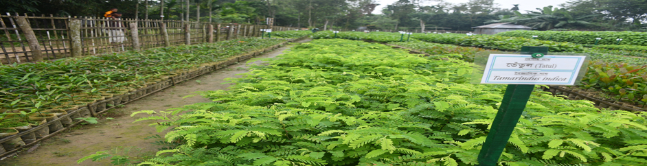 ব্যানার