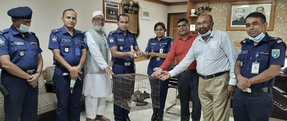 বন্যপ্রানী উদ্ধার