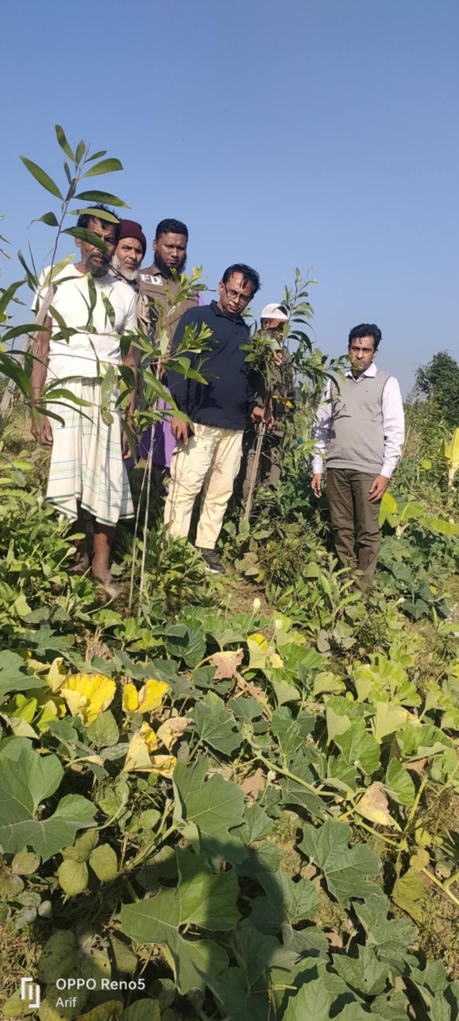 বাগান পরিদর্শন