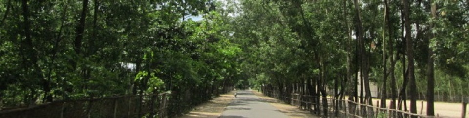 রাস্তা