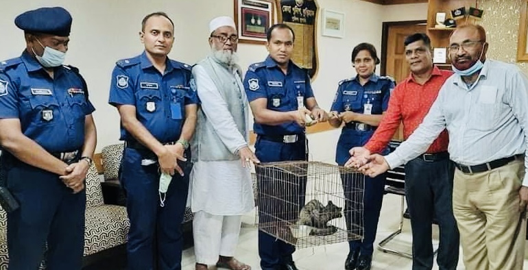 বন্যপ্রানী উদ্ধার